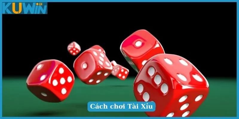 Mẹo Chơi Tài Xỉu Hay Nhất Ẵm Tiền Triệu Nhanh Chóng 2 Cách chơi Tài Xỉu cơ bản cho tân binh mới bắt đầu